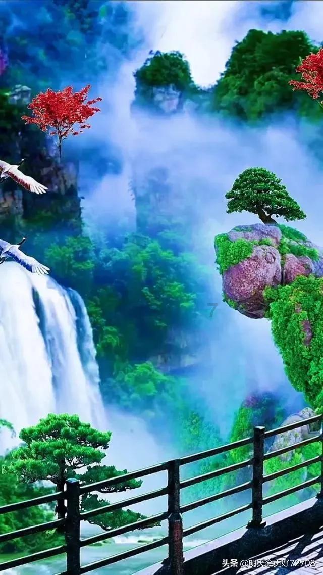 创作猫